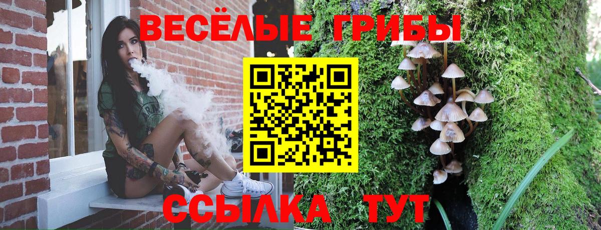 Псилоцибиновые грибы Magic Shrooms  Вход с VPN  Тельмана  Галлюциногенные грибы GOLDEN TEACHER 