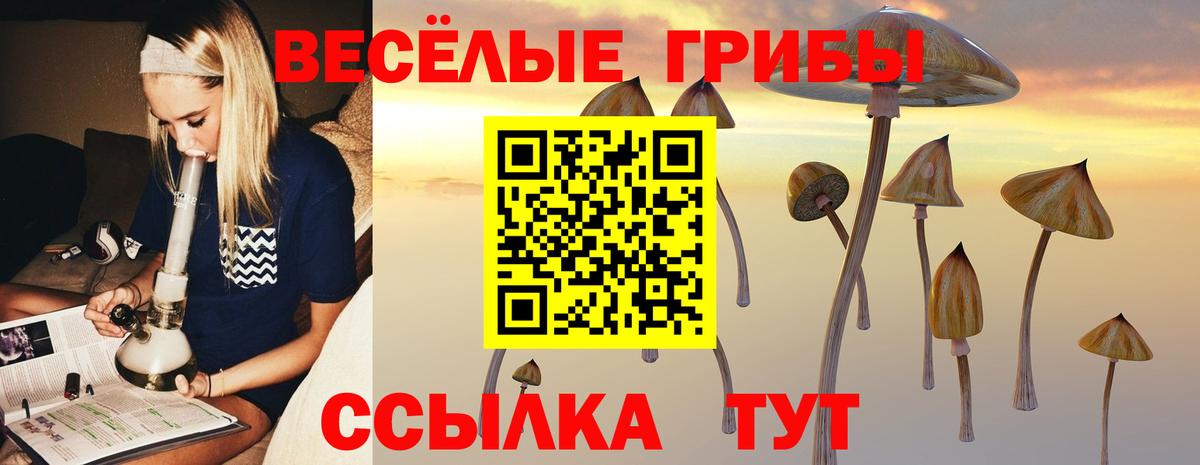 Псилоцибиновые грибы мицелий Тельмана